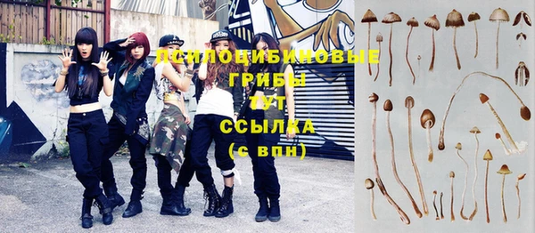 бутират Кинешма