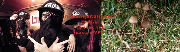 первитин Киреевск