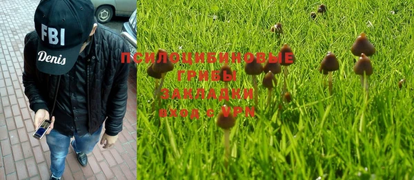 первитин Киреевск