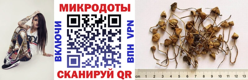 Купить закладки Мантурово Псилоцибиновые грибы Psilocybe